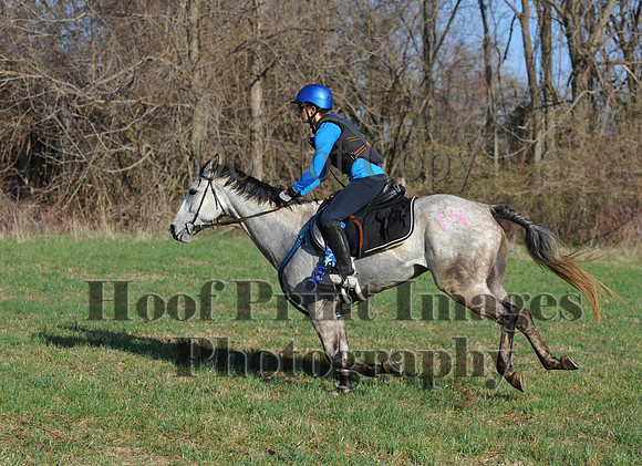 Foxcatcher(4-12-14)0559
