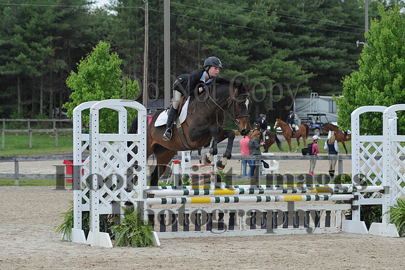 BRSa(5-17-14)0.8mJCl0034