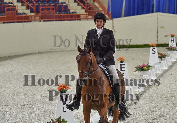 CWdressageI(8-20-16)0375