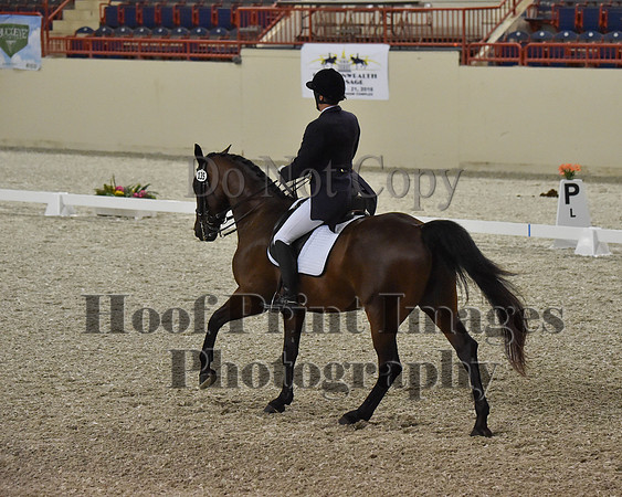CWdressageII(8-21-16)0786
