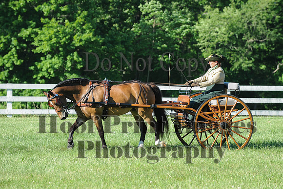 CDE(6-7-14)0089
