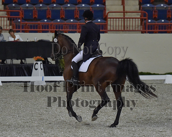 CWdressageII(8-21-16)0824