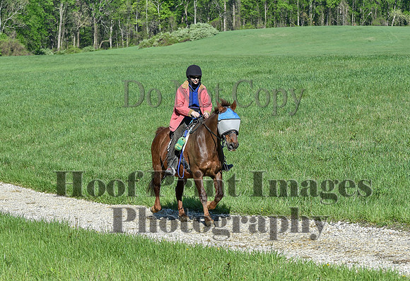 ChesapeakeSpring(4-27-25)0460