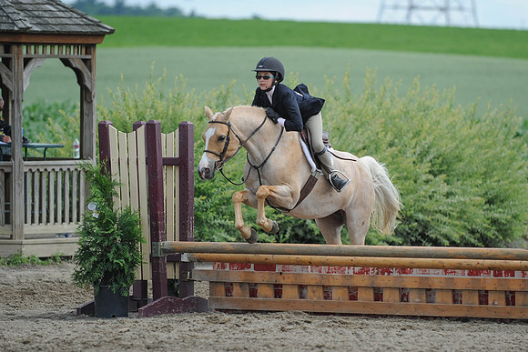 SC(6-28-14)SMPony0038