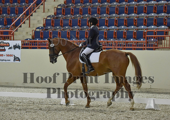 CWdressageI(8-20-16)1253