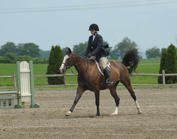 Lion(7-2-15)Hopeful0002