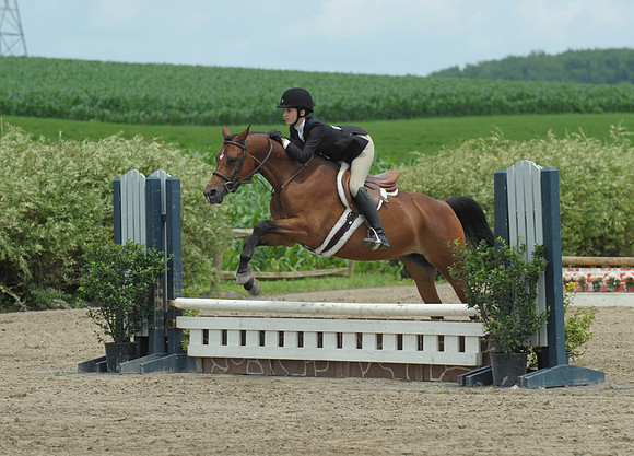 Lion(7-2-15)Hopeful0026