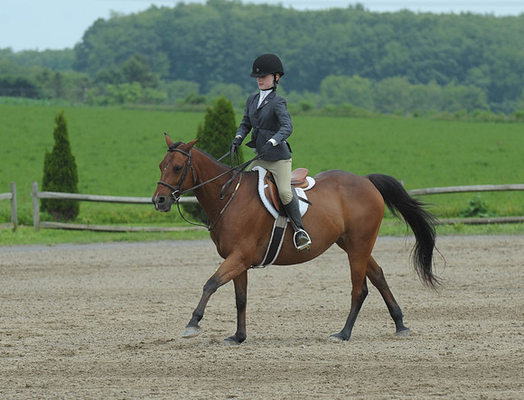 Lion(7-2-15)Hopeful0019