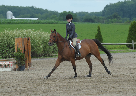 Lion(7-2-15)Hopeful0012