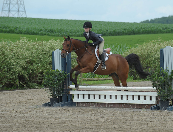 Lion(7-2-15)Hopeful0013