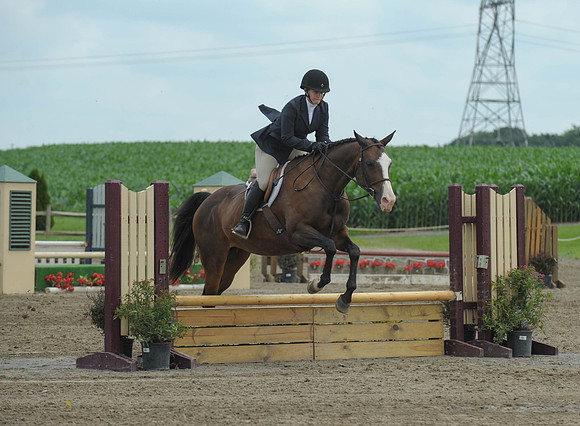 Lion(7-2-15)Hopeful0009