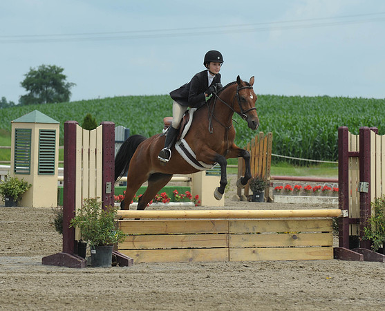 Lion(7-2-15)Hopeful0024