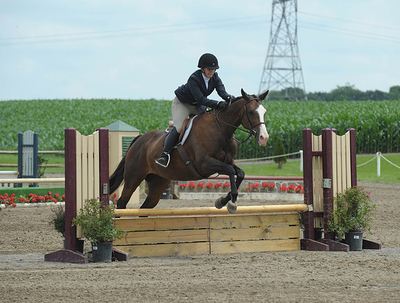 Lion(7-2-15)Hopeful0006