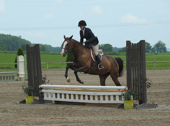 Lion(7-2-15)Hopeful0008