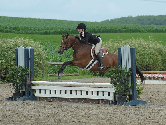Lion(7-2-15)Hopeful0015