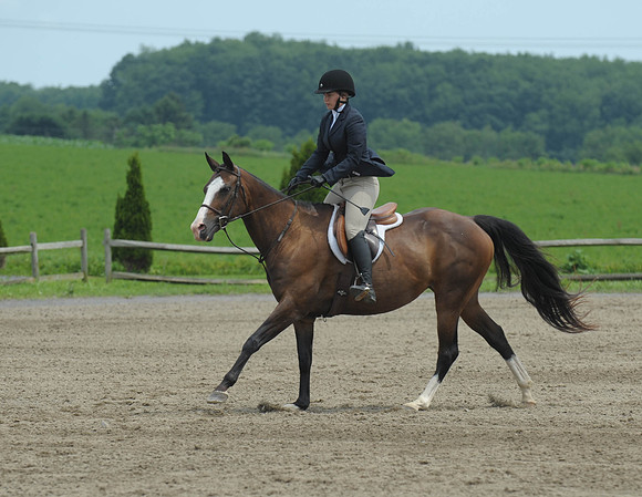 Lion(7-2-15)Hopeful0004