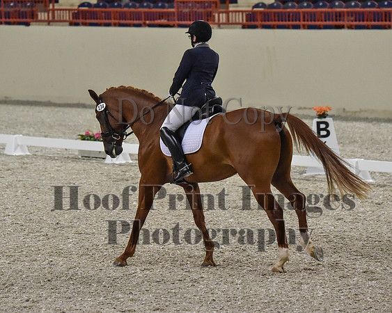 CWdressageII(8-21-16)0254