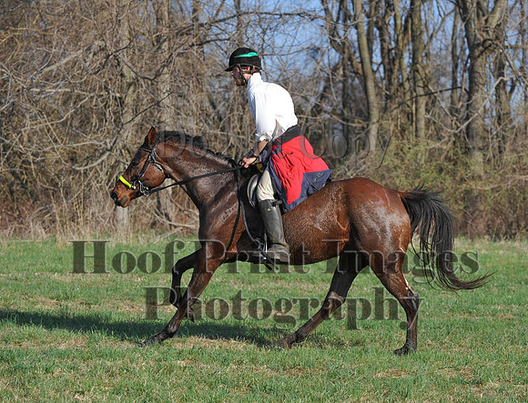 Foxcatcher(4-12-14)0578
