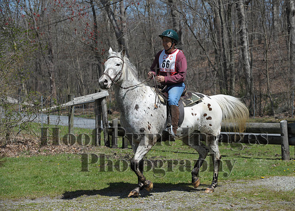 CheshirePC(4-16-16)0353