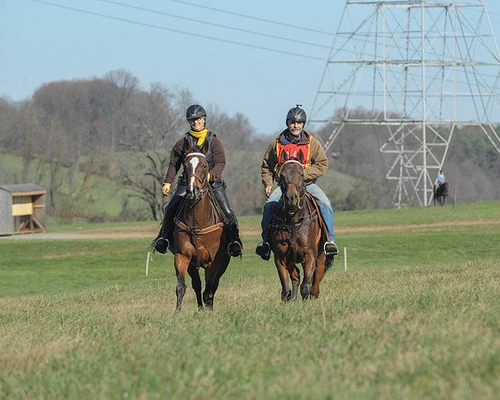 BHPC(11-15-15)0327