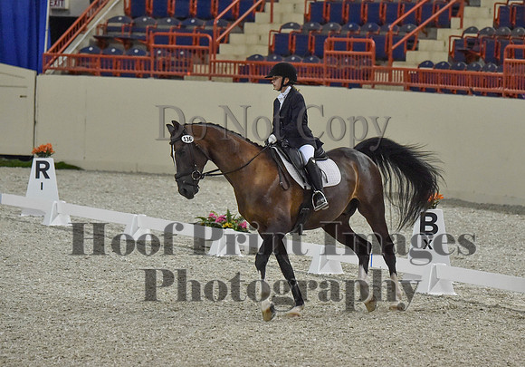 CWdressageI(8-20-16)0203