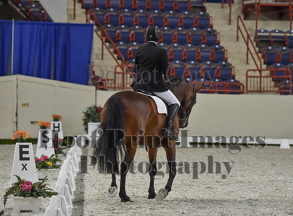 CWdressageI(8-20-16)1293