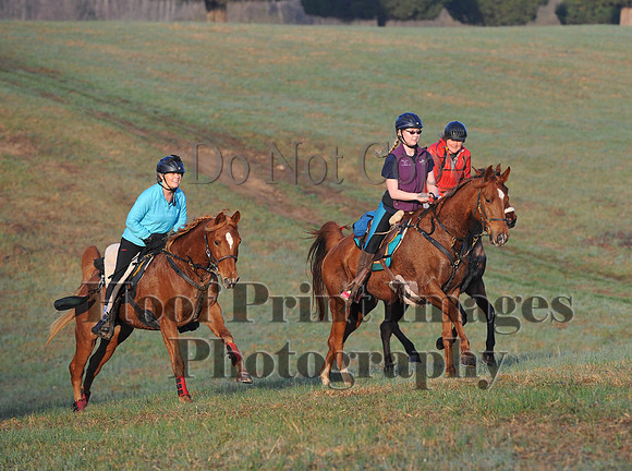 Foxcatcher(4-12-14)0406