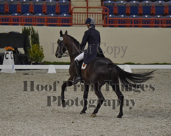 CWdressageII(8-21-16)0714