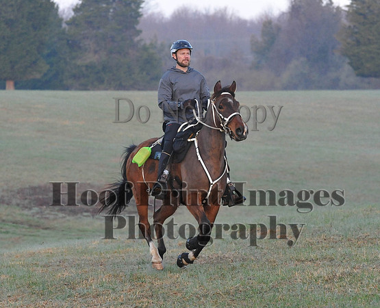 Foxcatcher(4-12-14)0052