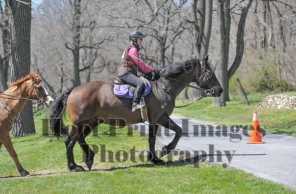 CheshirePC(4-16-16)0088