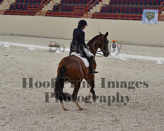 CWdressageII(8-21-16)1748