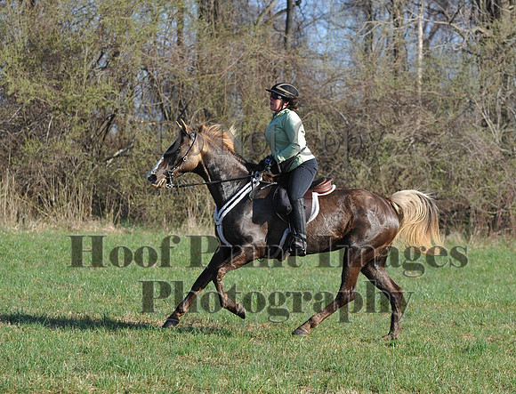 Foxcatcher(4-12-14)0571