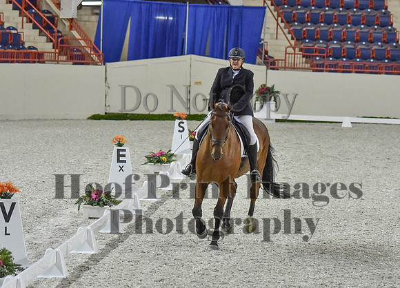 CWdressageI(8-20-16)0230