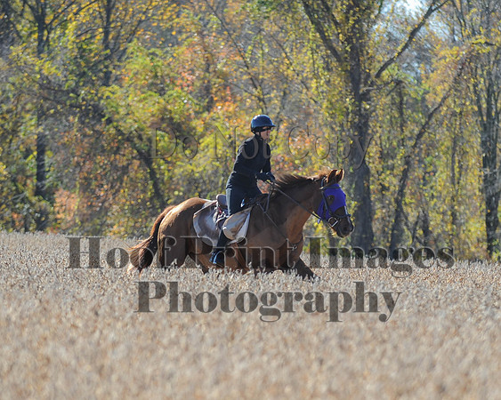 LCRDC(10-26-14)0131