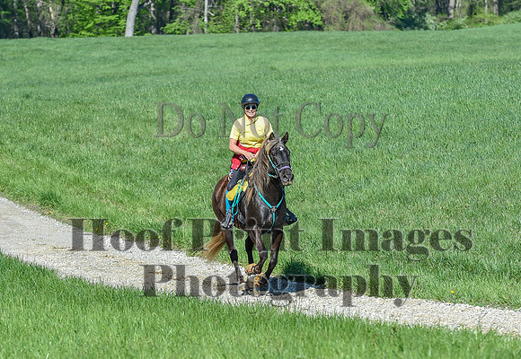 ChesapeakeSpring(4-27-25)0570