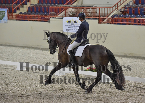 CWdressageI(8-20-16)0302