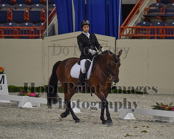 CWdressageII(8-21-16)0491