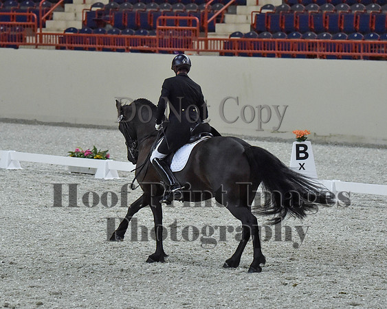 CWdressageII(8-21-16)1812