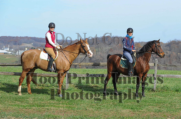 AndrewsBr(11-9-14)0390