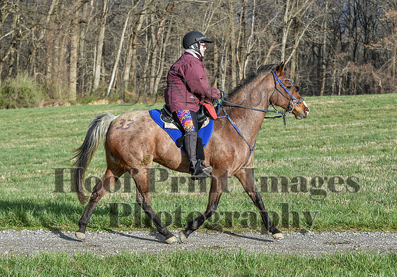 ChesapeakeSpring(4-10-22)0066