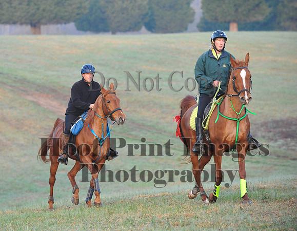Foxcatcher(4-12-14)0160