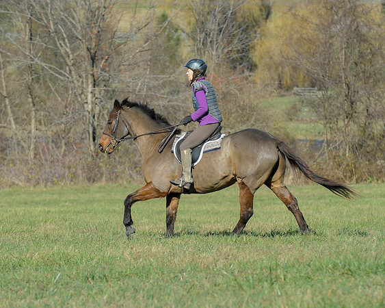 BHPC(11-15-15)0104