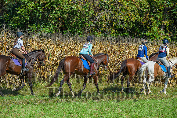 CheshirePonyClubPC(10-6-24)0511