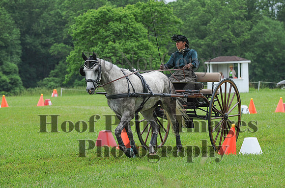 ELKCreekSat1(6-4-16)0545