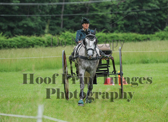 ELKCreekSat1(6-4-16)0551