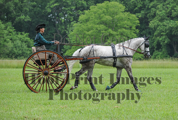ELKCreekSat1(6-4-16)0538