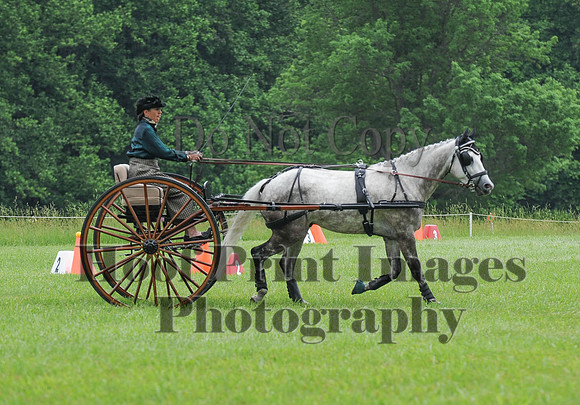 ELKCreekSat1(6-4-16)0542