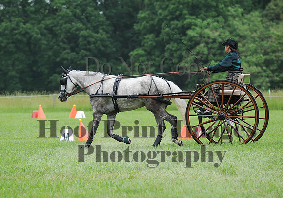 ELKCreekSat1(6-4-16)0548