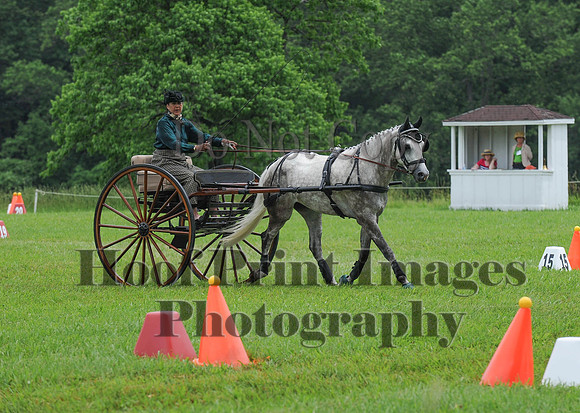 ELKCreekSat1(6-4-16)0543