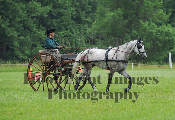 ELKCreekSat1(6-4-16)0532